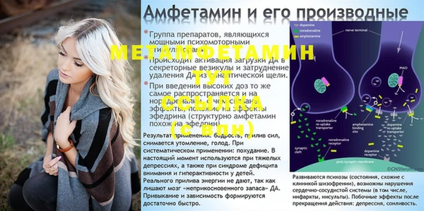 PSILOCYBIN Волоколамск