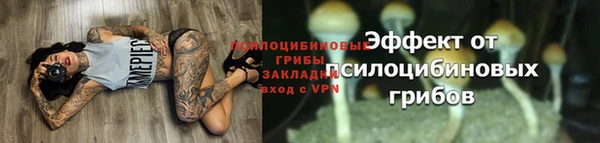 герыч Богородицк