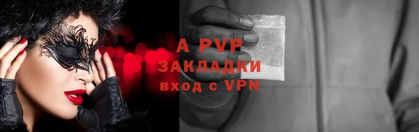 PSILOCYBIN Волоколамск