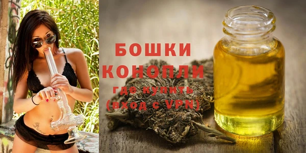 дживик Богородск