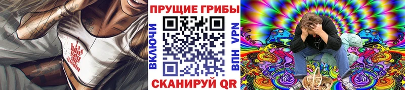 Купить закладки  Лыткарино  Галлюциногенные грибы Cubensis 